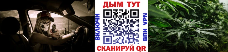 Купить где  Урус-Мартан  Каннабис планчик 
